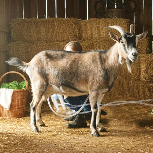 Threlaco Milking Machine Accessory Goat Teat Cup, Double Cup with Tube for Goat, Sheep, Camels, Farm Tool