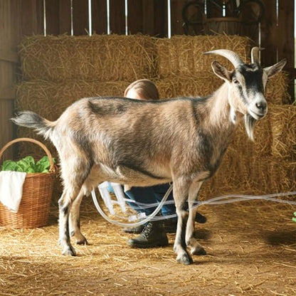 Threlaco Milking Machine Accessory Goat Teat Cup, Double Cup with Tube for Goat, Sheep, Camels, Farm Tool