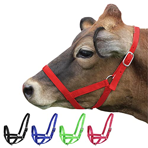 Derby Originals Adjustable Nylon Livestock Cattle Halters - color: Red, size: X-Large (1400-2000+lbs)