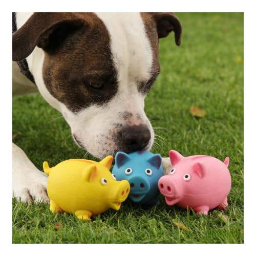Squeaky Latex Round Pig Dog Toy - Durable Chew-Resistant Interactive Toy for Stress Relief and Training(Blue) - color: Blue