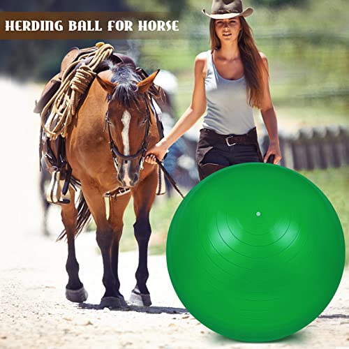 Sotiff 2 Pcs 40 Inch Horse Ball for Play Large Horse Big Equine Herding Anti Burst Dog Ball Soccer Giant, Pump Included(40 Inch,Green, Blue) - color: Green, Blue