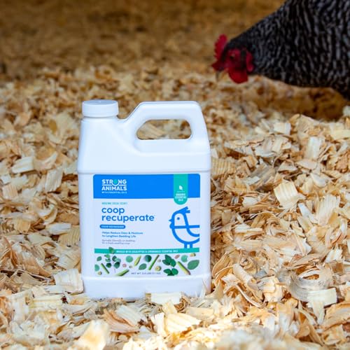 Strong Animals Coop Recuperate Eucalyptus & Lemongrass - Chicken Coop Refresher Containing Organic Eucalyptus & Lemongrass Essential Oils (2.5 lb jug, 2 Pack)