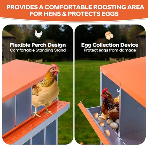 Secure Laying & Ventilation - Metal Chicken Nesting Box for Small Animals - 6 Compartments, Wall Mount, Galvanized Steel, Easy Clean & Egg Collection - Red, 84.5 x 42 x 90.3cm, 6 Compartments - color: Orange-6 Compartments with legs