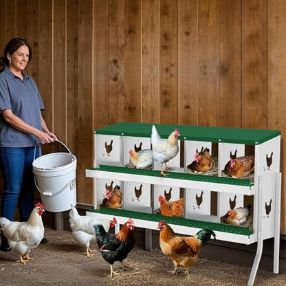 10-Room Metal Chicken Nesting Box, Heavy-Duty Galvanized Steel Egg Laying Box with Vented Holes & Leg, Wall-Mounted or Floor Use, Secure Egg Collection, Green