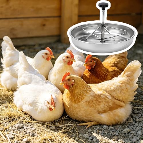 Round Stainless Steel Chick Feeder, Small Multi-Compartment Pig Feeder, Outdoor/Indoor Metal Water Trough for Barn, Pasture, Homestead(32 cm/12.6") - size: 32 cm/12.6"
