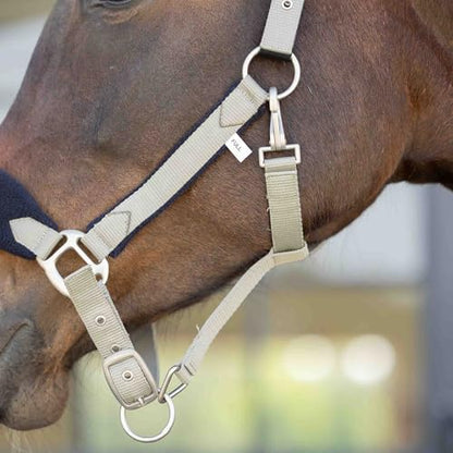 Equinavia Saga Fleece Padded Breakaway Halter - Light Olive/Black - Warmblood - color: Light Olive/Black, size: Warmblood