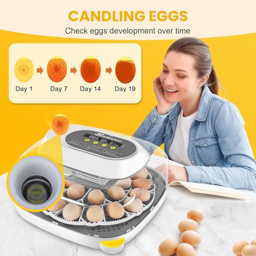 Sailnovo Incubator for 24 Eggs, 4 Modes Egg Incubator with Automatic Egg Turning, Temperature Control and Humidity Alarm - 360°View with Clear Window Incubators for Hatching Chicks(Grey)