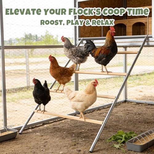 Chicken Roosting Bar for Coop, 57" L x 40" W 4-Tier Square Wood | Galvanized Rustproof Frame, Waterproof Finish, Easy Assembly, Backyard Flock