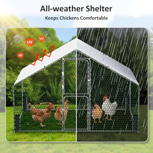 Large Metal Chicken Coop, Walk-in Chicken Run with Feeding Door, Security Lock and Cover, Outdoor Duck/Rabbit Cage Poultry Pen for Backyard, Farm, Yard (Silver - Spire Roof, 9.8 x 6.6 x 6.6 FT) - size: 78.8"L x 118.1"W x 78.8"H