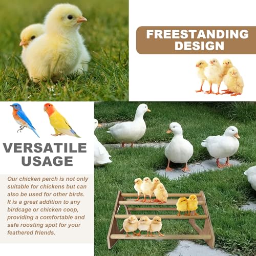 Chicken Perch with 7 Bars Wooden Chicken Roosting Bars with Side Holes Freestanding Roost Coop Accessories, Coop Accessories