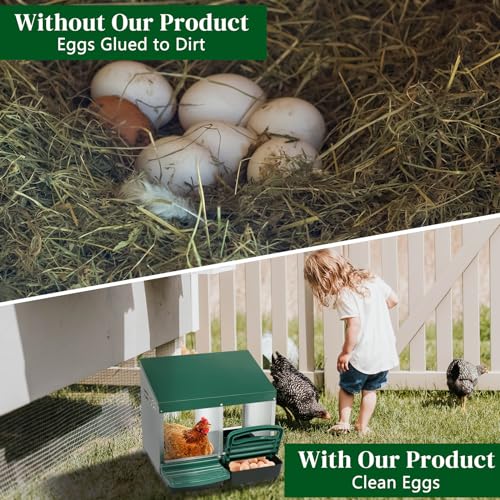 Chicken Nesting Boxes, Nesting Boxes for Chickens, Roll Out Chicken Nest Box, Metal Chicken Egg Laying Box with Swing Perch and Rollout Egg Collection for Chicken Coop - color: 2 Compartment