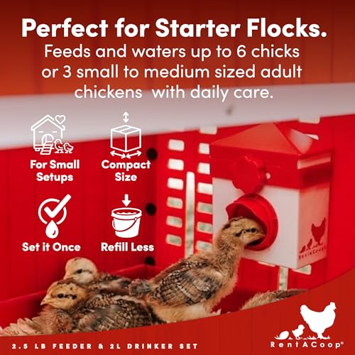 RentACoop 2.5lb Chick2Chicken Medium Sliding Port Feeder and 64 Ounce (2 Liter) Drinker Set – Includes Coop Clip, 2 Versatile Nipples, and Auto-Fill Cup for Waterer
