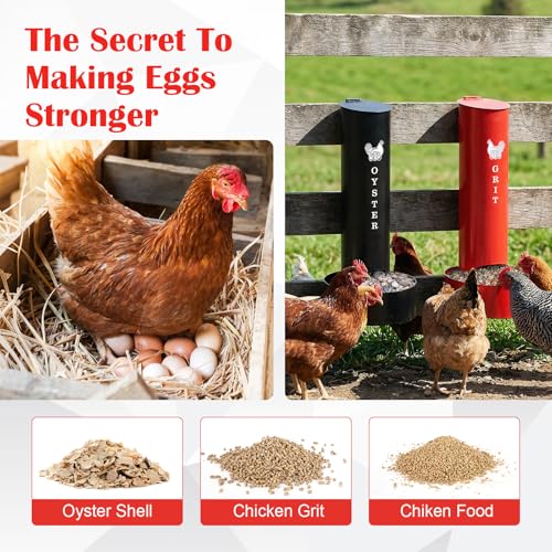 Chicken Oyster Shell Feeder and Grit Feeder and 6 Pcs Automatic Chicken Waterer Cup, Metal Hanging Poultry Feeders and Plastic Poultry Water Cup, Coop Accessories, Black+Red