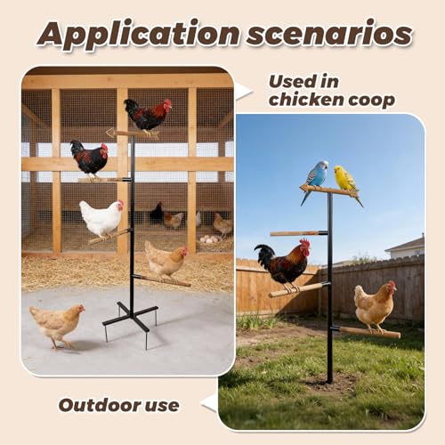 Tnstbiee Large Chicken Roosting Bars, Wooden 4-Branch Perch & Outdoor Bird Playground Toy,Chicken Perch for Coop & Backyard,50" H x 16.5" R, 4-Prong Metal Ground Plug,for Small Poultry, Bird & Parrots
