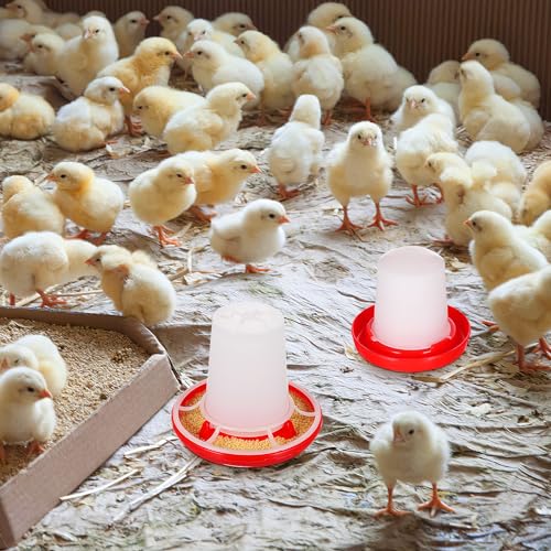 Chicken Feeder and Waterer Set Ducklings Quail Feeders Poultry Baby Chick Plastic Drinker and Waterer Kit for Farm and Brooder Use 4" X 3.5"