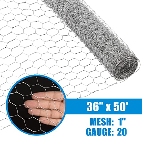 Fencer Wire 20 Gauge Chicken Wire Fence, Galvanized Poultry Hexagonal Netting Crafting, Chicken Coops & Rabbit Rodent Cage, 1-Inch Hex Grid (3 ft. x 50 ft.) - size: 3 ft. x 50 ft.