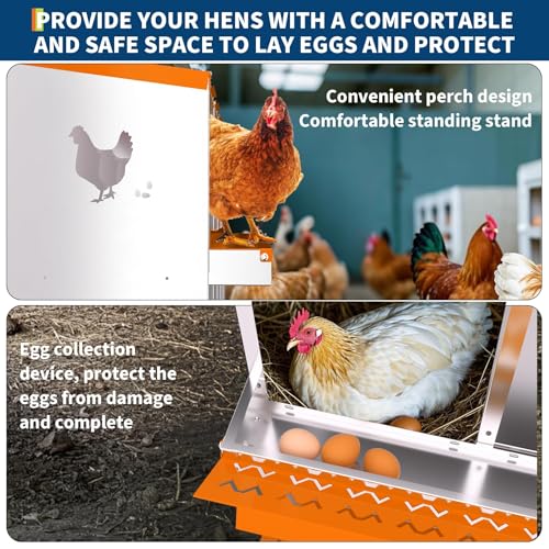 8 Compartment Chicken Nesting Box, Galvanized Steel Metal Laying Box with Removable Tray Roll-Out Egg Collection, Wall Mount Hen Roosting Box, Easy Egg Collection - color: Orange, size: 8 holes with legs