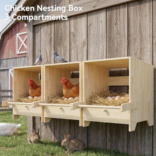 Chicken Laying Boxes 3 Hole Wood Egg Laying Box for Hens Wall Mounted Nesting Boxes for Chickens, Hens, Ducks, Poultry