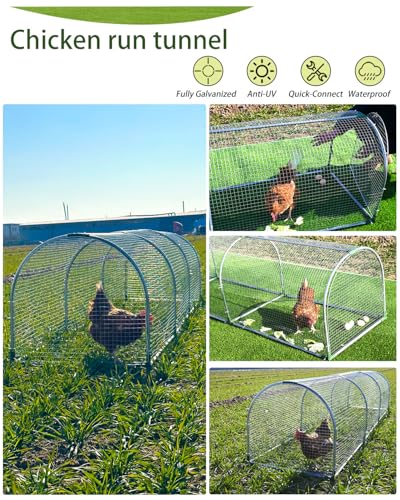 Backyard Chicken Coop Run for 8–12 Chickens – Outdoor Metal Chicken Tunnel, Predator-Proof, Easy Install, Suitable for Chickens, Ducks & Rabbits (118" x 26" x 23") - size: 118X27.55X23.62in
