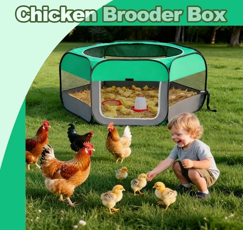 Pop Up Chicken Brooder Starter Kit - Easy to Assemble, Portable & Easy to Clean Brooder Box for Baby Chicks & Ducklings
