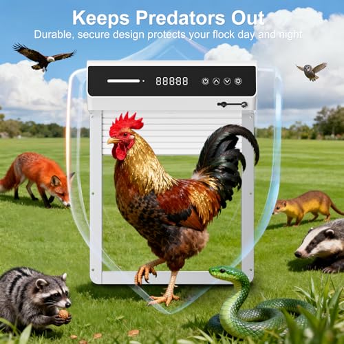 Automatic Chicken Coop Door Solar, Battery Powered & Weatherproof Aluminum, Timer Modes for Safe and Convenient Chicken, Easy Install, Reliable All-Season Performance (White)