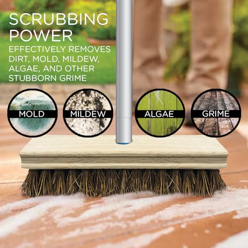 LOLA Deck Scrub Brush, 9" x 3.5" Head w/Palmyra Bristles for Outdoor Cleaning, Removes Dirt & Grime from Patios, Decks, Grout, 9 Pack - size: 9 Pack, style: Palmyra Deck Broom -Steel Handle