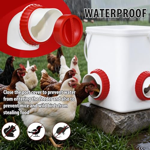 6PACK No Waste Chicken Feeder Ports - DIY Chicken Feeder Kit with Hole Saw - Chicken Feeder Cups for Bucket,Barrels,Bins,Troughs - size: 6 port with holesaw