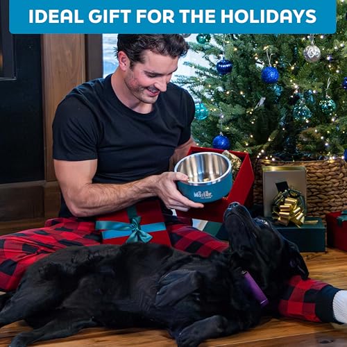 Master Pet Supply Stainless Steel Dog Bowls - 32 oz, Heavy Duty - Stainless Steel, Double Wall Extra-Thick Insulated, Non-Slip Pet Water Bowl for Dogs, Cats & Pets, Anti Rust Metal, Dish Washer Safe - color: Stainless Steel, size: 4 Cups (32 oz)