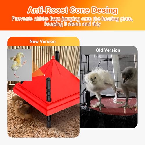 ZenxyHoC Brooder Plate for Chicks with Anti-Roost Cone, Chick Brooder Heater Red 10" x 10" with Digital Display Temperature Control - size: 10" x 10" with Digital display temperature control
