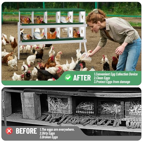 IDEALHOUSE Chicken Nesting Box, Galvanized Steel Laying Box with Rustproof & Roll-Away Egg Design, for Hens, Green 10 Compartment with Bracket - color: Green, size: 10 compartments (with bracket)