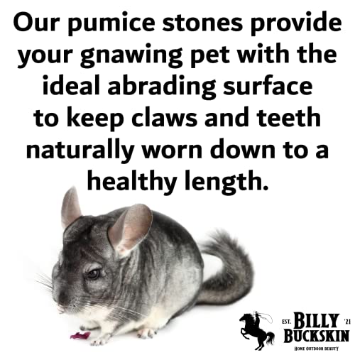 Chinchilla Chew Toys, Pumice Chew Blocks, Lava Block for Hamster, Rat, Mice, Degus, Gerbils, Small Animal Toys, Guinea Pigs, Rabbit Toy, Bunny Toy by Billy Buckskin (Pack of 6)Mined in USA