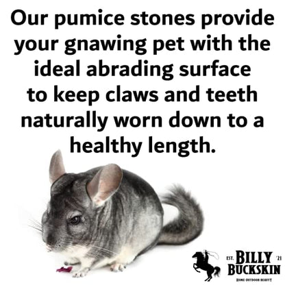 Chinchilla Chew Toys, Pumice Chew Blocks, Lava Block for Hamster, Rat, Mice, Degus, Gerbils, Small Animal Toys, Guinea Pigs, Rabbit Toy, Bunny Toy by Billy Buckskin (Pack of 6)Mined in USA