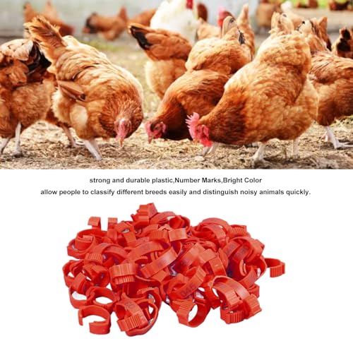 SUNGOOYUE 100 Pcs Chicken Leg Rings Plastic Numbered Poultry Identification Bands Clip On Round Ankle for Chickens Ducks Hens Breeders Farm Flock Tracking (100Pcs Red Rings with Number Markers) - color: 100pcs Red Rings With Number Markers