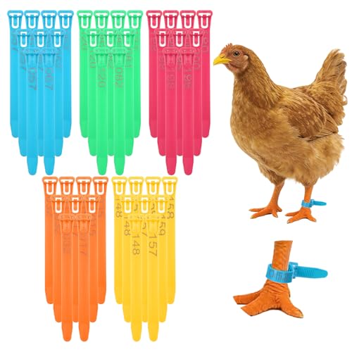 200 Pcs Chicken Leg Bands, Adjustable Poultry Identification Bands with Laser-Engraved Numbers 1-200, 5 Colorful Numbered Chick Tags for Legs of Chickens, Ducks, Turkeys, Geese