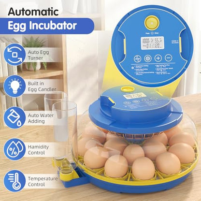 Chicken Egg Incubators for Hatching Eggs, 18 Egg Incubator with Automatic Egg Turning, Digital Control, 2 Egg Trays, Candler & Automatic Water Refill for Chicken Quail Duck Turkey Goose Bird - size: 18 Eggs