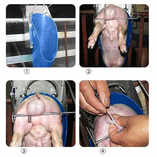 Large Pig Castration Rack Tools, Stainless Piglet Castration Device, for Farm Livestock (Large) - style: large