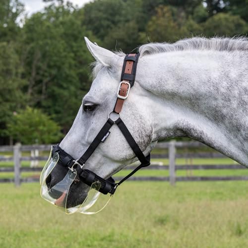 Thinline Turnout Halter for Use with Grazing Muzzle | Horse Equine Safe Comfortable Adjustable Breakaway Halter - Size Options - size: Small Pony