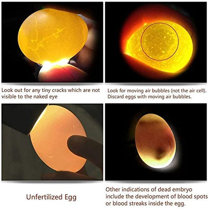 Egg Candlers for Chicken Eggs, 2026 New Egg Candling Light Tester Lamp Egg Checker Incubator for All Chickens Ducks Quail Dark Eggs 【Upgraded USB Charger】 - color: Black