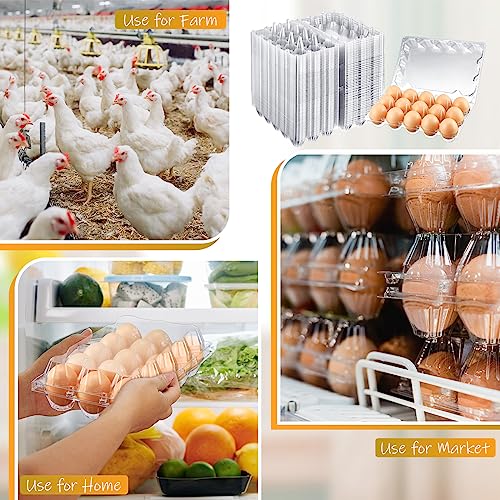 Zubebe 200 Clear Plastic Egg Trays - Bulk Empty Chicken Egg Tray Holds Securely - Clear Blank Egg Cartons for Farm, Market, Home Refrigerator Storage (3 x 5 Grids) - size: 3 x 5 Grids