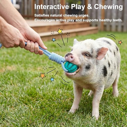 Ronyes 3Pcs Pig Enrichment Toys, Treat Dispenser Ball Toys for Mini Pigs and Farm, Hanging Chew Food Foraging Ball with Rope for Pigs, Pig Toys for Pet Pig