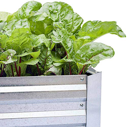 Galvanized Raised Garden Bed (8x4x1ft) – Overlapping 4-Inch Panels + 4 Support Bars, Heavy-Duty Metal Planter Box for Vegetables, Herbs, Flowers, No-Deformation Steel Garden Kit - size: 8x4x1ft (1 PC)