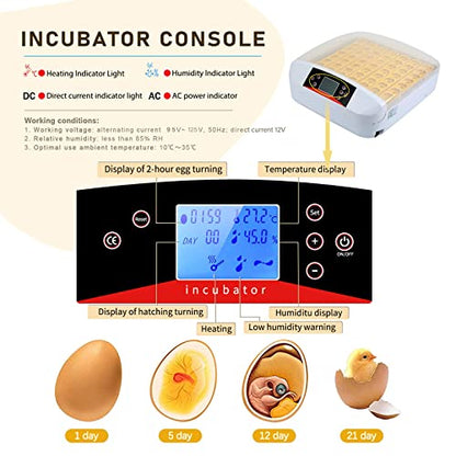 Egg Incubator ，56 Eggs Fully Automatic Egg Incubator with LED Lighting Automatic Turner and Intelligent Temperature Control， for Eggs/Duck Eggs/Bird Eggs/Goose Eggs Hatching