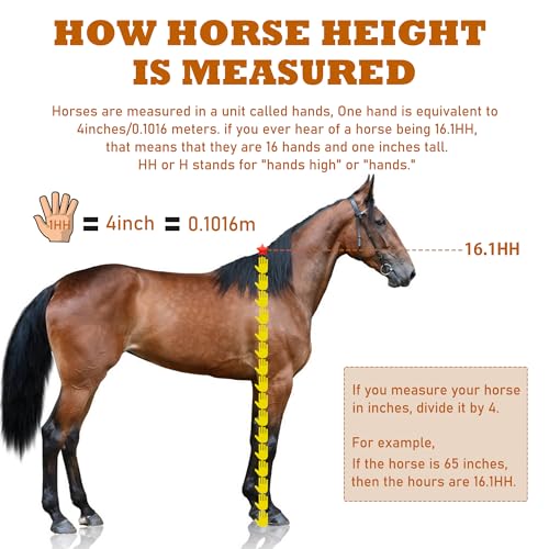 Horse Measuring Stick, Horse Height Pole, Accurately Measure The Height of Horse, Measurable (18 Hands or Less) Horses