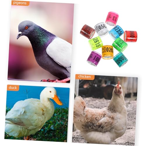 Abaodam 100pcs Pigeon Leg Bands Colorful Bird Foot Rings for Easy Identification of Racing Pigeons Chickens and Other Poultry Mixed Colors Random Styles