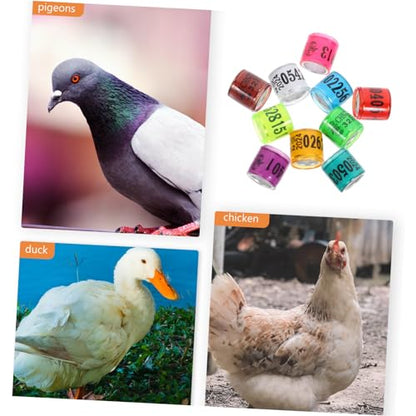 Abaodam 100pcs Pigeon Leg Bands Colorful Bird Foot Rings for Easy Identification of Racing Pigeons Chickens and Other Poultry Mixed Colors Random Styles