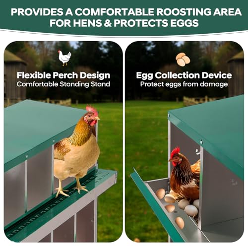 GarveeTech Chicken Nesting Box with Legs, 6 Compartment Metal Hen House, Elevated Design for Cleaner Eggs, Easy Egg Collection & Durable Poultry Nesting Solution - size: Green-6 Compartments with legs