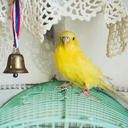 200Pcs Bird Leg Bands, Chicken Birds Leg Rings 8mm Pigeon Ring Numbered Bird Leg Bands Plastic Red Blue Birds Identification Leg Bands Serial Number Rings for Chicks Bantam Quail Lovebirds Finch