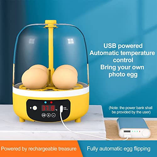 Tissting Mini Egg Incubator, Digital Incubators for Hatching Chicks, Holds 4 Eggs, Automatic Turner with Temperature and Humidity Control