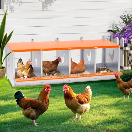 Heavy-Duty Wall-Mounted Metal Nesting Box for Backyard Chickens and Ducks with Ventilation and Easy Egg Access (4-Orange)