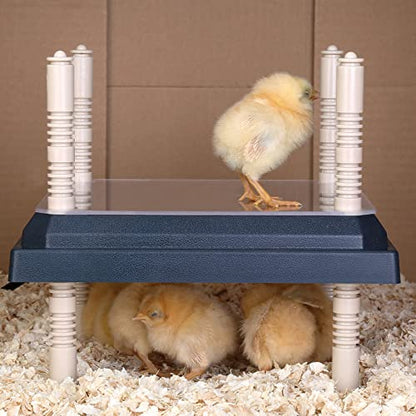 Brooder Heater for Chicks: Chick Brooder Heating Plate with Easy- Cleaning Plate Poultry Coop Heater Chicks Warmer 12" x 12" for 20 Chicks Adjustable Height Brooding Heater 22 Watts - color: Blue